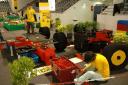 tomarlego2010_068.jpg