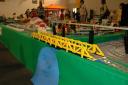 tomarlego2010_128.jpg