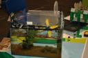 tomarlego2010_178.jpg