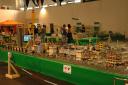 tomarlego2010_260.jpg