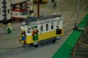 tomarlego2010_282.jpg