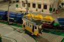 tomarlego2010_285.jpg