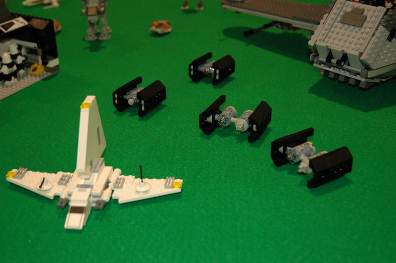 tomarlego2010_079.jpg