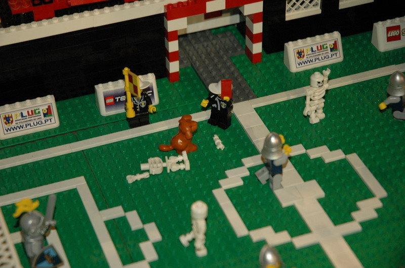 tomarlego2010_155.jpg