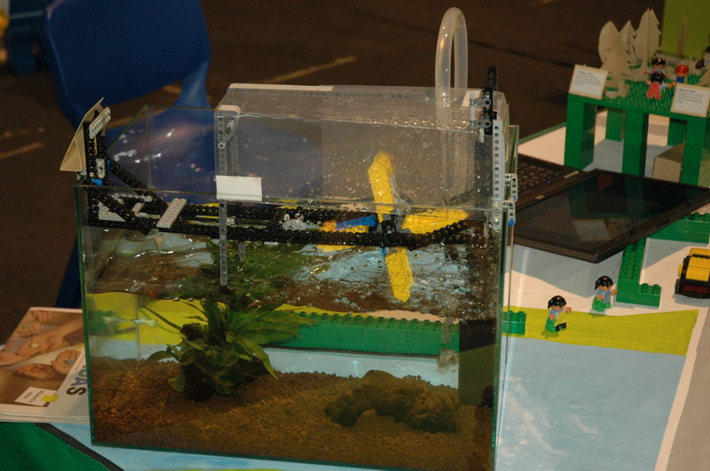 tomarlego2010_178.jpg