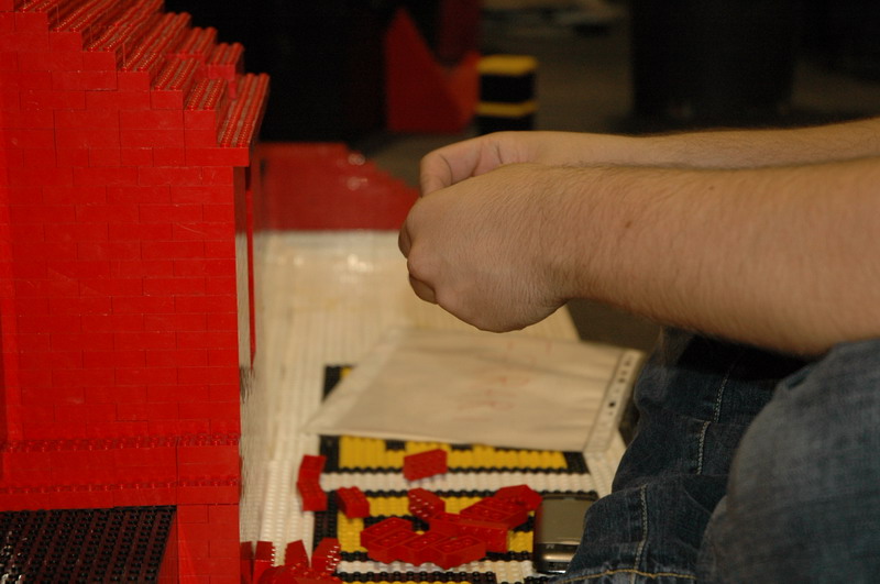 tomarlego2010_231.jpg