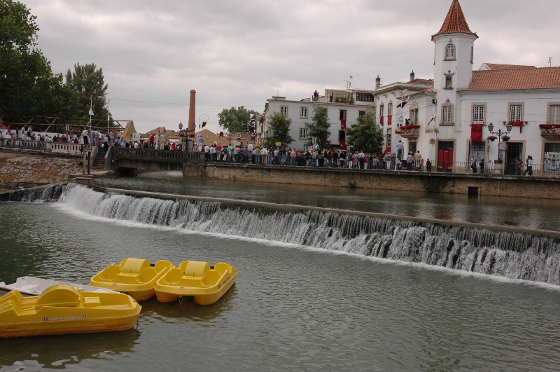 tomarlego2011_013.jpg