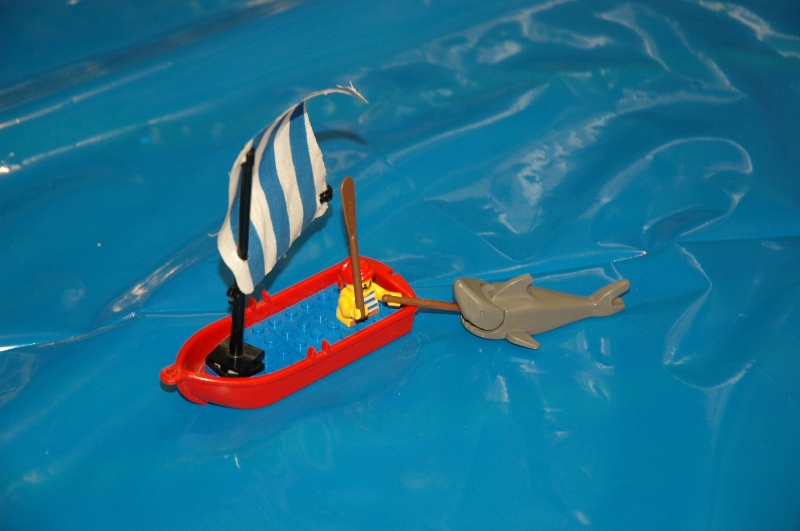 tomarlego2011_057.jpg