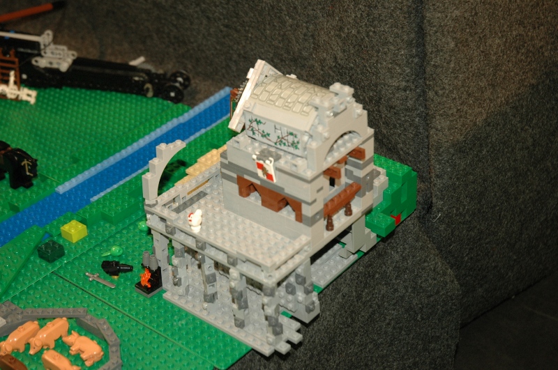 tomarlego2011_142.jpg