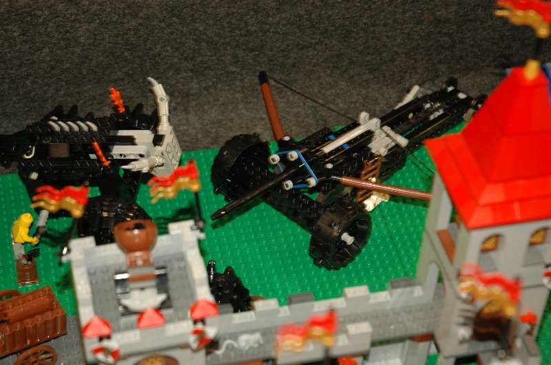 tomarlego2011_144.jpg