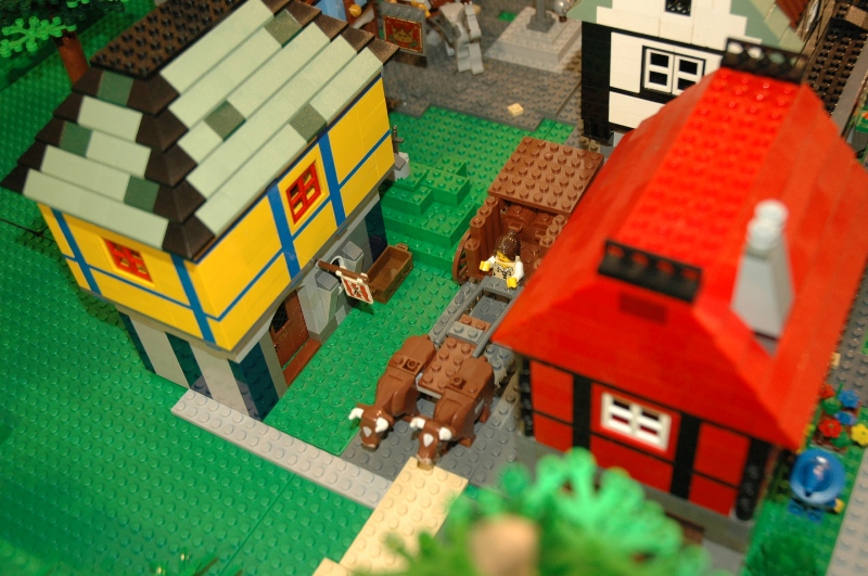 tomarlego2011_150.jpg