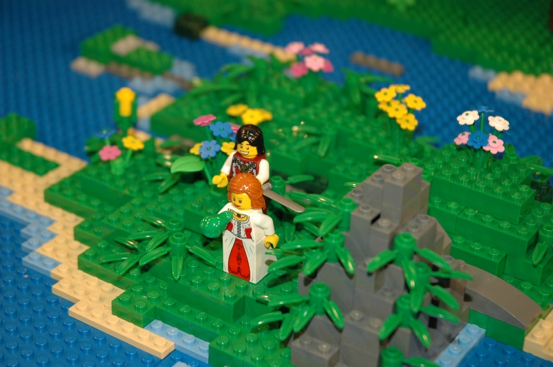 tomarlego2011_151.jpg