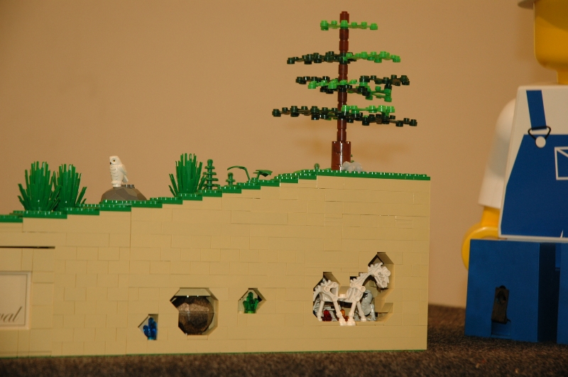 tomarlego2011_158.jpg