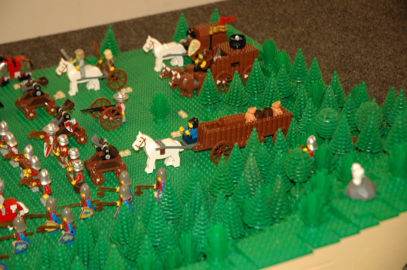 tomarlego2011_161.jpg