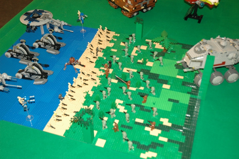 tomarlego2011_195.jpg