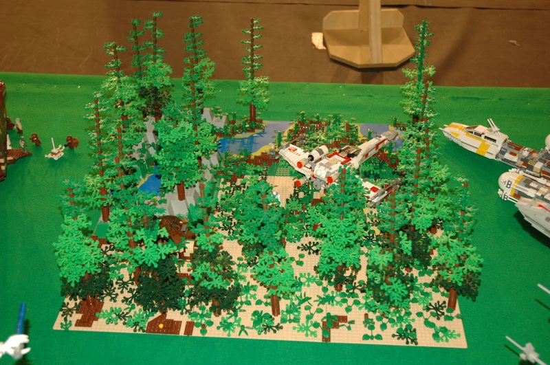 tomarlego2011_200.jpg