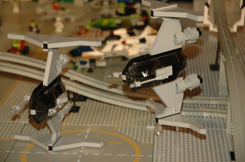tomarlego2011_219.jpg