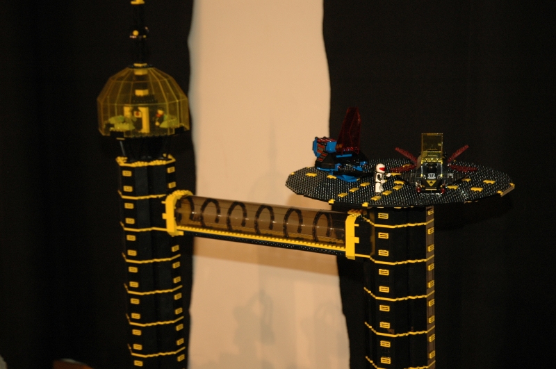 tomarlego2011_224.jpg