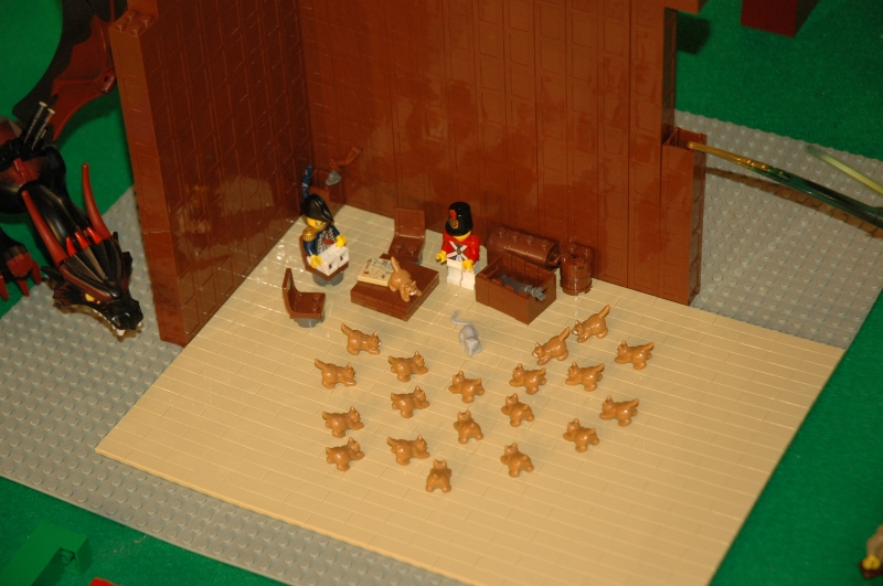 tomarlego2011_261.jpg