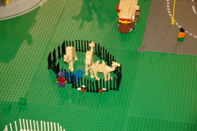 tomarlego2011_338.jpg
