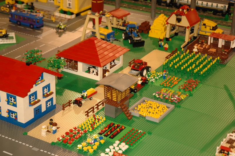 tomarlego2011_341.jpg
