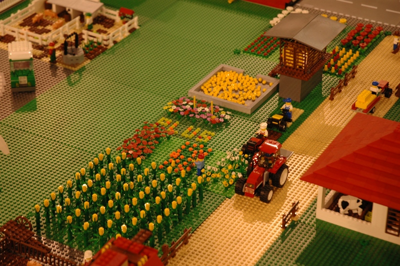 tomarlego2011_346.jpg