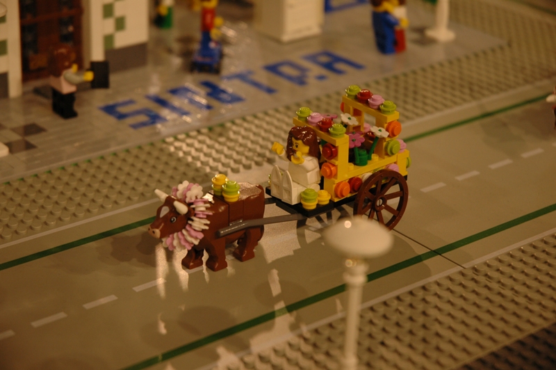 tomarlego2011_388.jpg