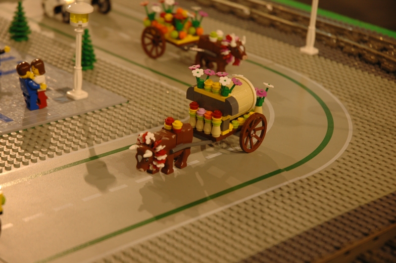 tomarlego2011_389.jpg