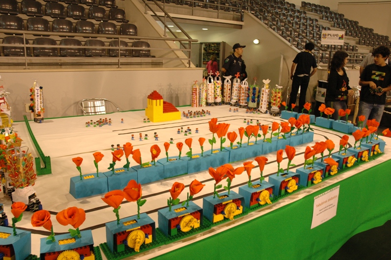 tomarlego2011_414.jpg