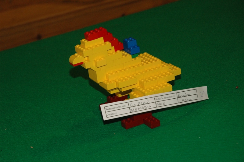 tomarlego2011_448.jpg