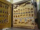 dsc00390.jpg