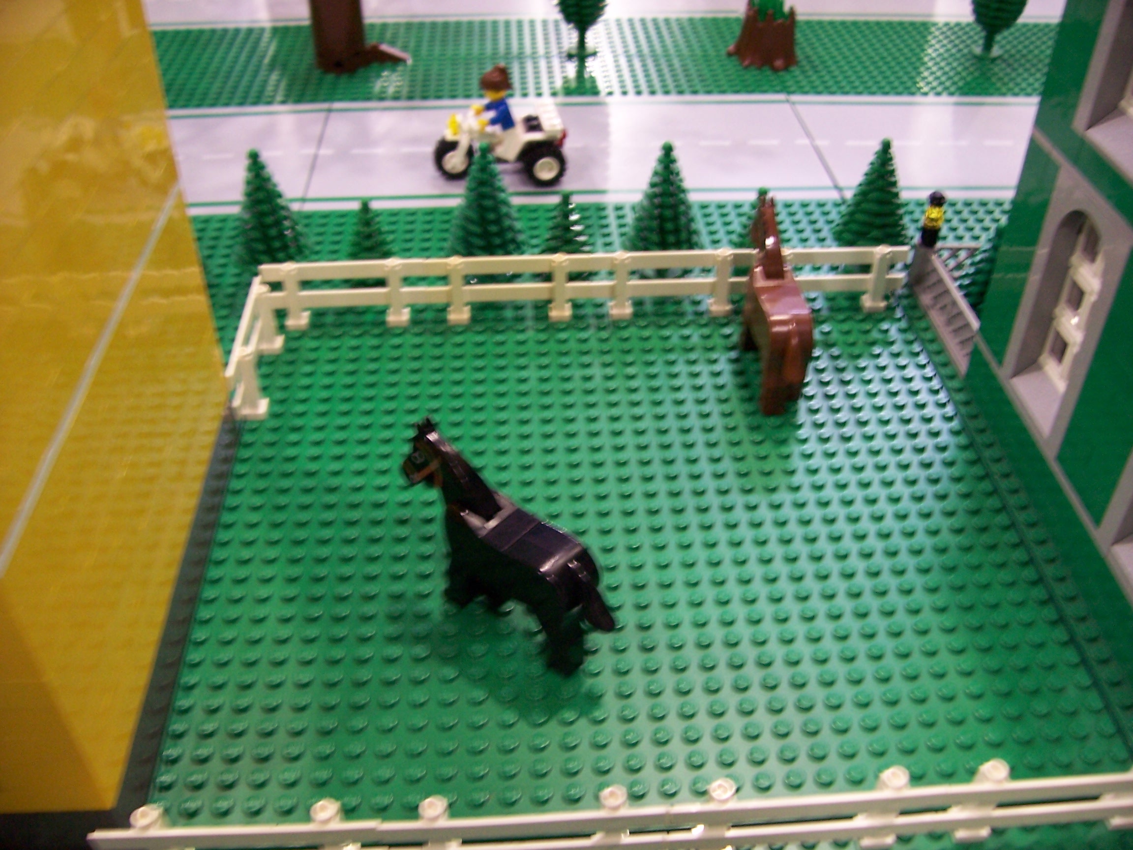 horsecorral.jpg