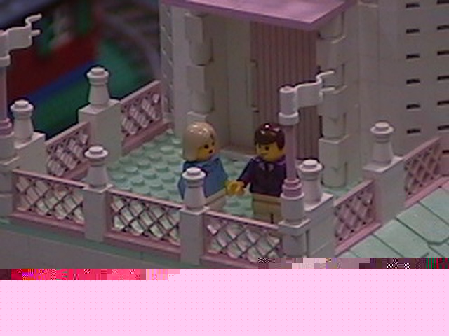 rooftopview.jpg