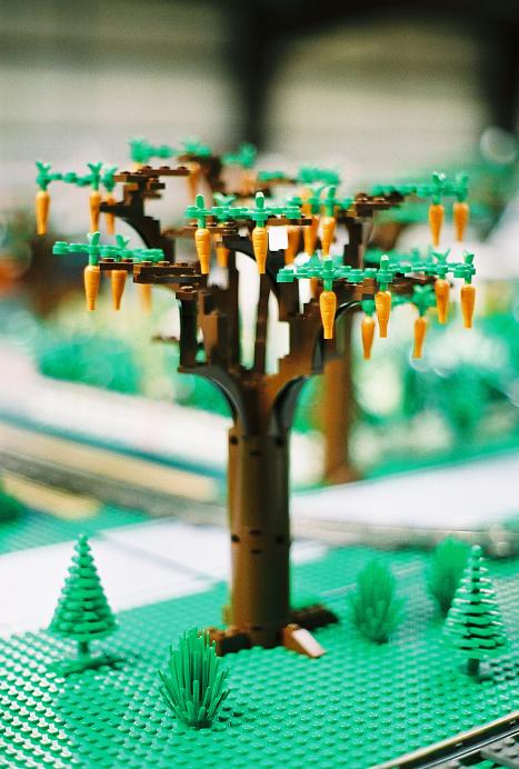 carrot-tree.jpg