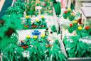 gardenparty05.jpg