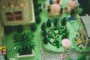 lilypond01.jpg