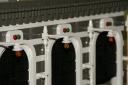 dsc06337.jpg