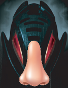 noses.png