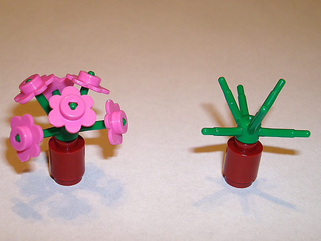 new_flowers2.jpg