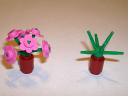 new_flowers2.jpg