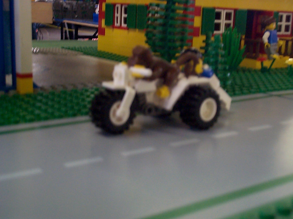 dcp00429.jpg