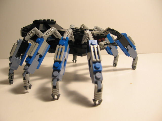 spider07.jpg