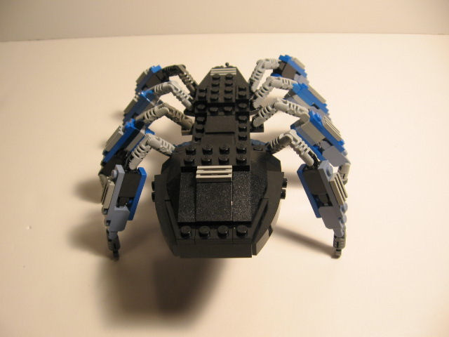 spider08.jpg