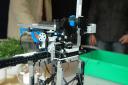 z-4inarow_dsc_4524.jpg