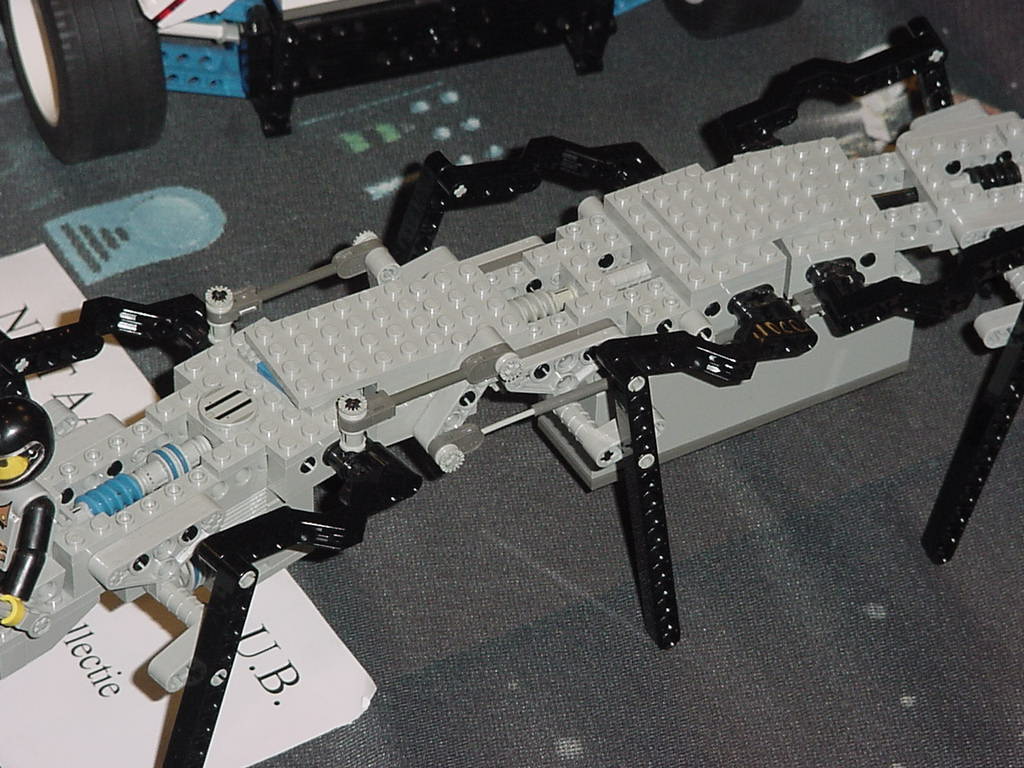 ant3.jpg