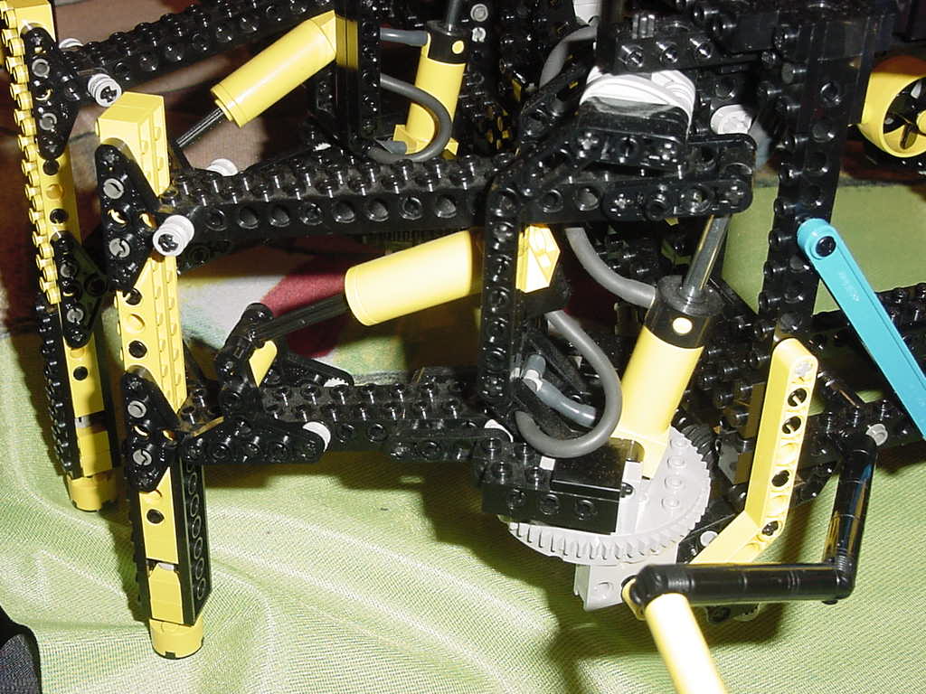 spider3.jpg