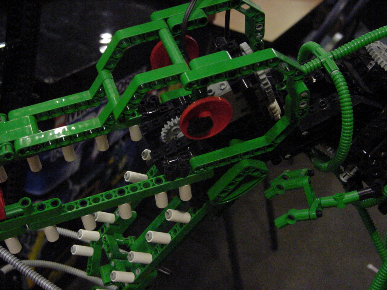 dino3_mvc-471f.jpg