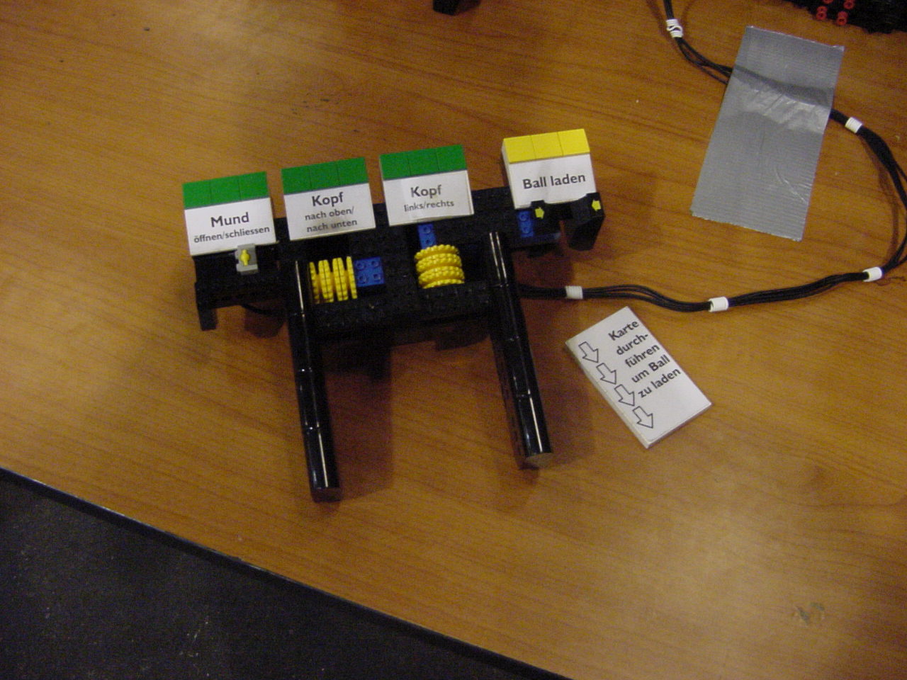 dino4_mvc-468f.jpg