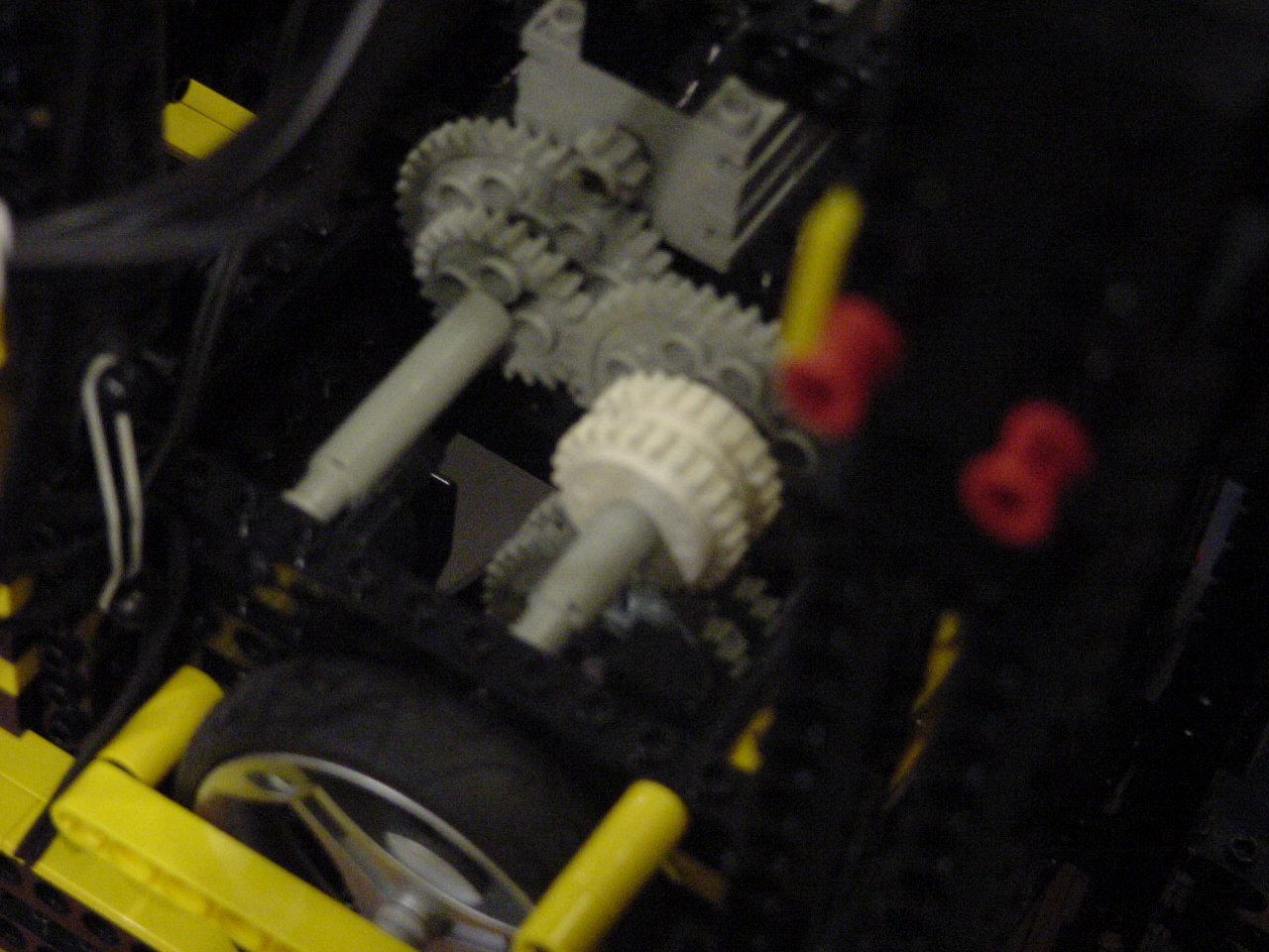 dino7_mvc-473f.jpg