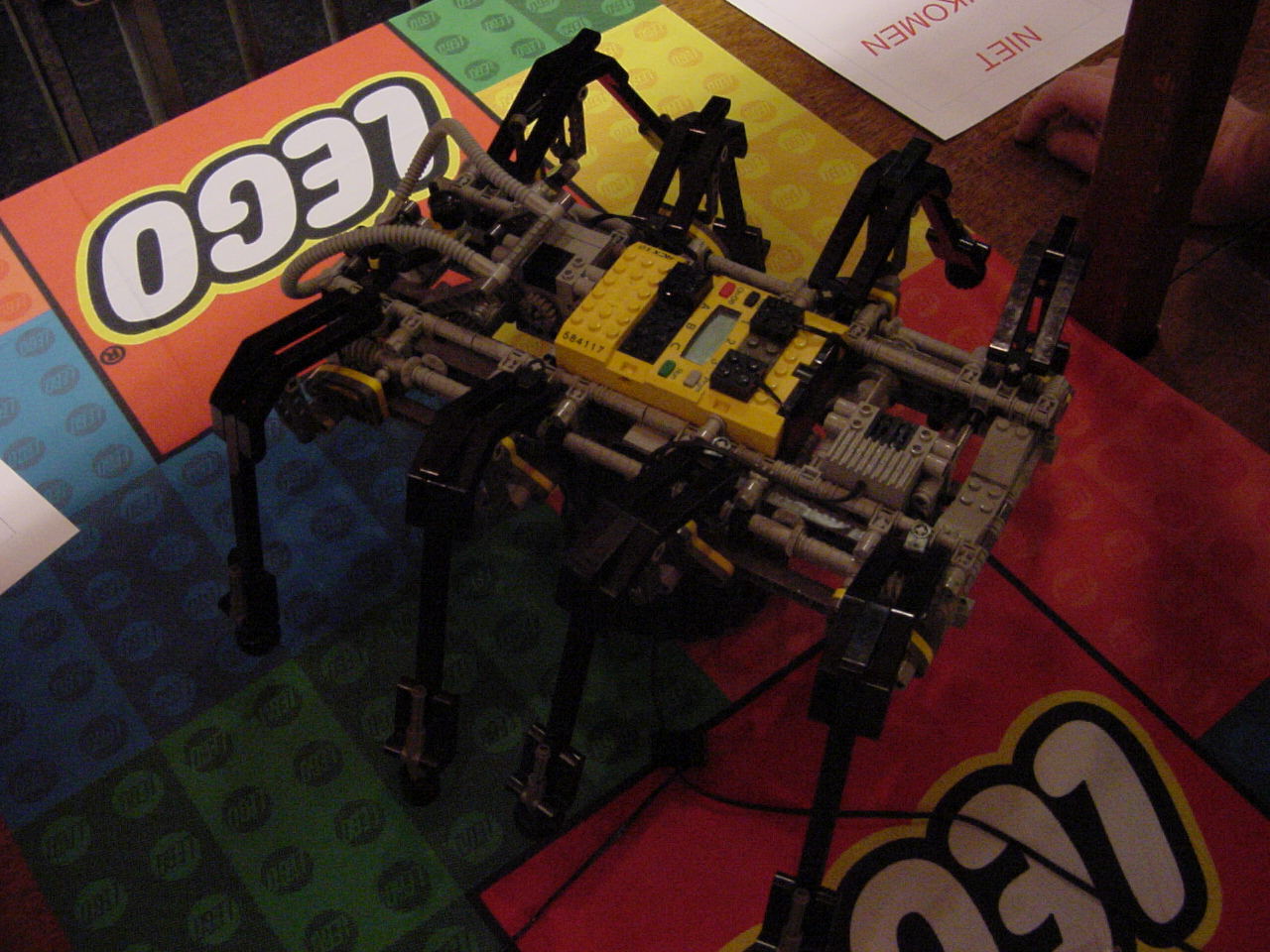 mvc-454f_spider.jpg